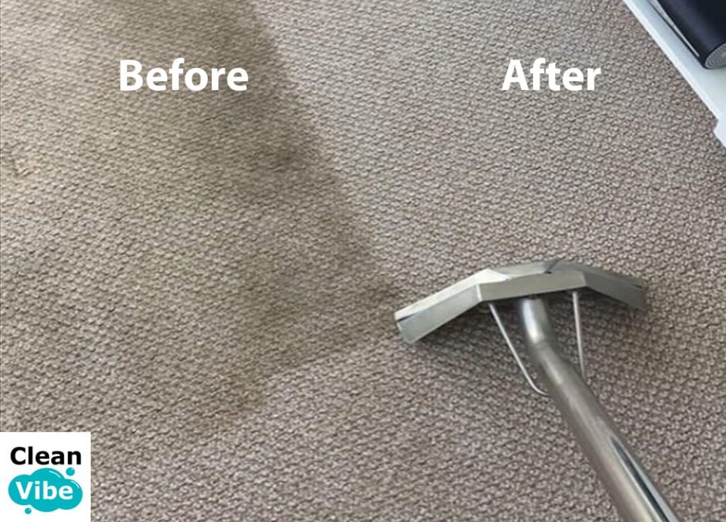 Deep cleaning carpet with powerful extractor - visible difference before and after