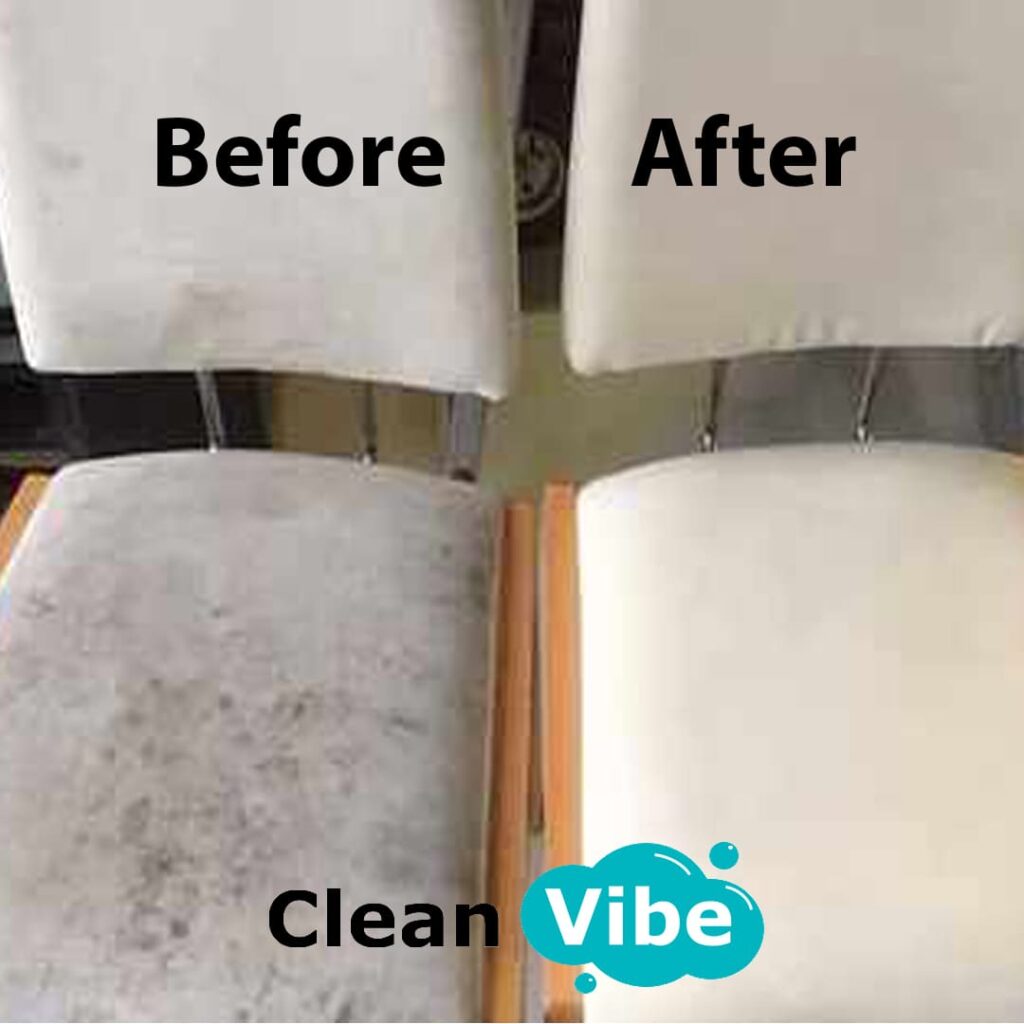 Pet stain removal from upholstered chair, Tampa professional cleaning