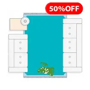 Promotional rug washing icon with offer tag