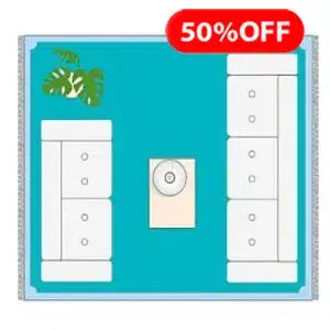 Cartoon rug cleaning service with price label