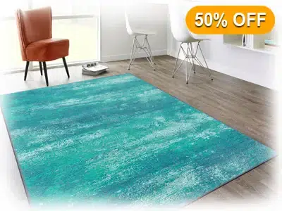 Area rug cleaning concept photo