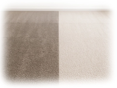 Carpet cleaned, texture restored